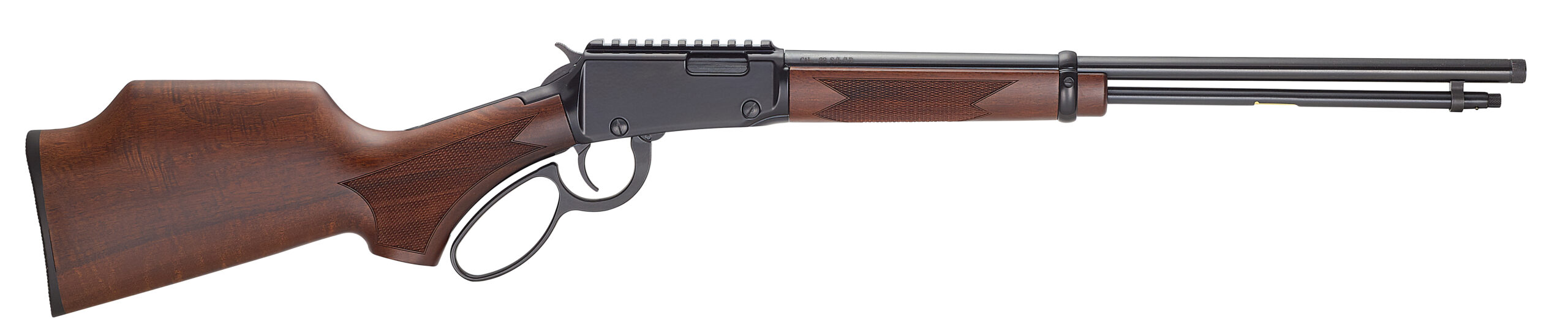 HEN BANDIT LVR 22WMR