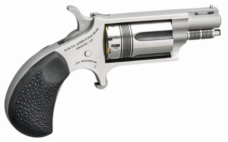 NORTH AMERICAN ARMS THE WASP 22MAG REV 1-1/8" SS