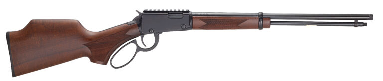 HEN BANDIT LVR 22LR
