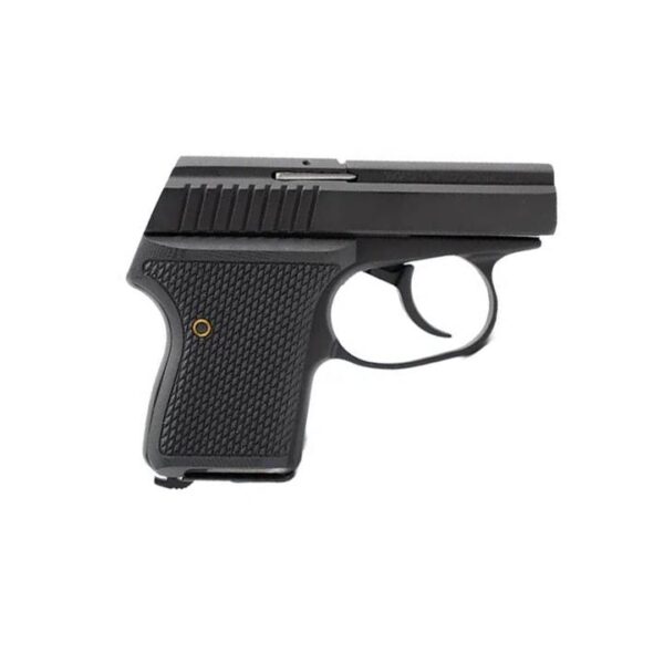 Seecamp LWS-32 Handgun 32 Auto 6rd Magazine 2" Barrel DAO Black Slide Black Grip